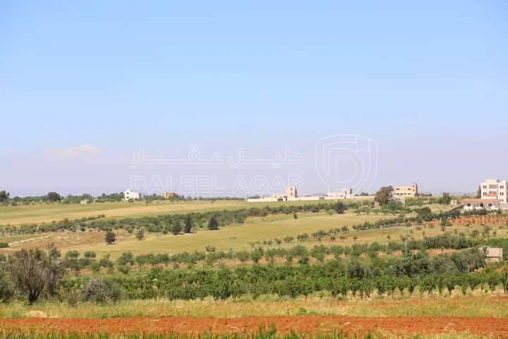 أرض في مادبا - الفيصلية  - 148,750 دأ - صورة 1